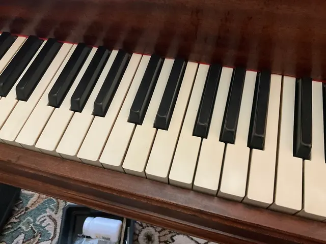 Teton Music | Piano Tuning, Strings, Sheet Music & Rentals — photo from the business 1