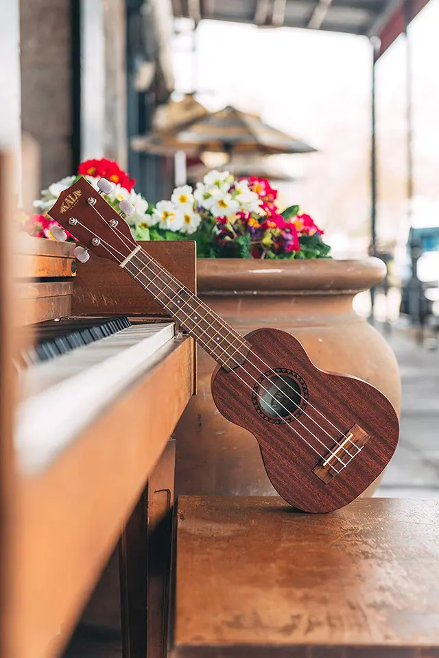 Teton Music | Piano Tuning, Strings, Sheet Music & Rentals — photo from the business 8