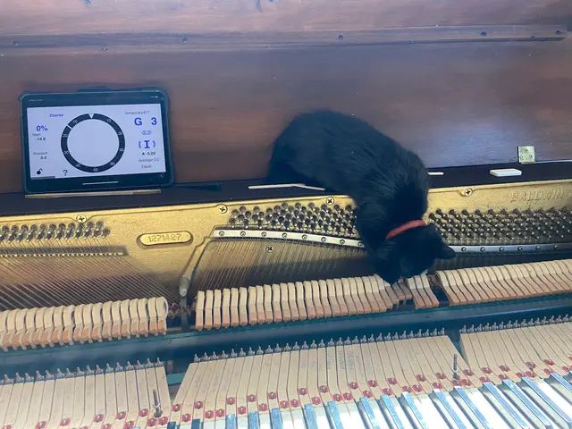 Teton Music | Piano Tuning, Strings, Sheet Music & Rentals — photo from the business 12