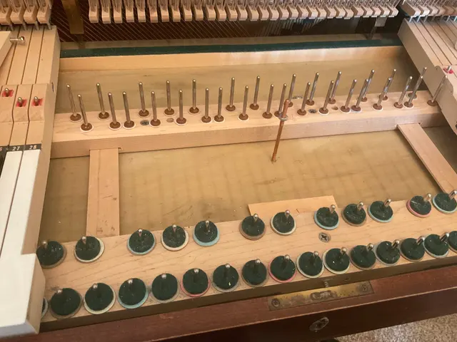 Teton Music | Piano Tuning, Strings, Sheet Music & Rentals — photo from the business 5