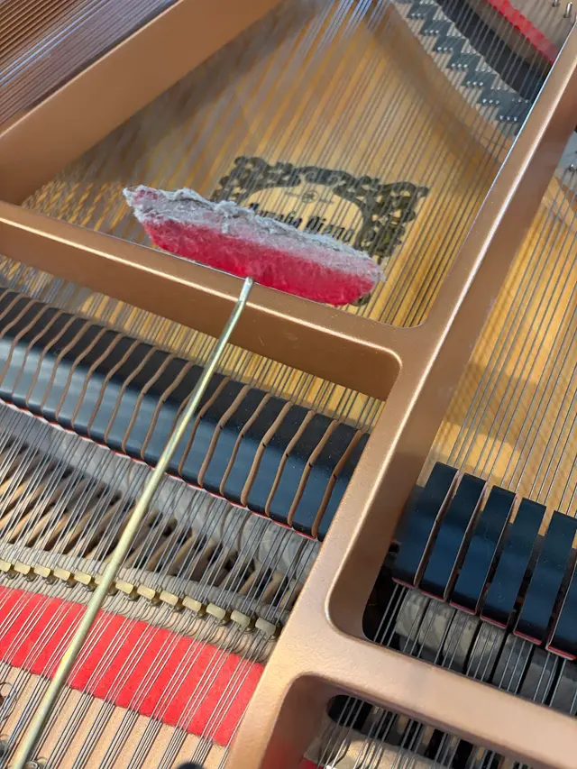 Teton Music | Piano Tuning, Strings, Sheet Music & Rentals — photo from the business 9