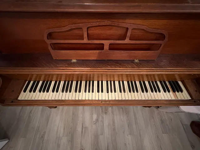 Teton Music | Piano Tuning, Strings, Sheet Music & Rentals — customer photo 6