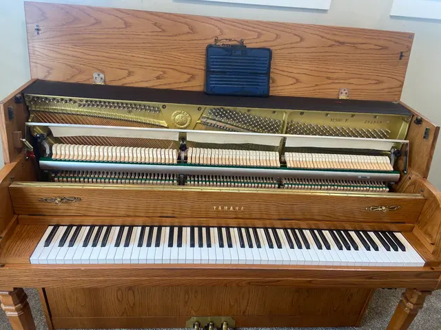 Teton Music | Piano Tuning, Strings, Sheet Music & Rentals — photo from the business 4