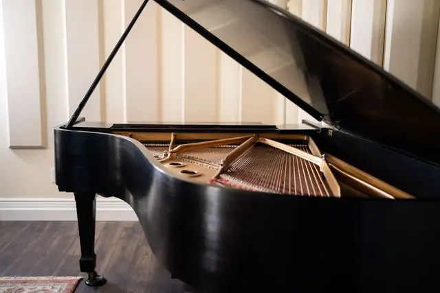 Mickelsen Music Services — photo from the business 8