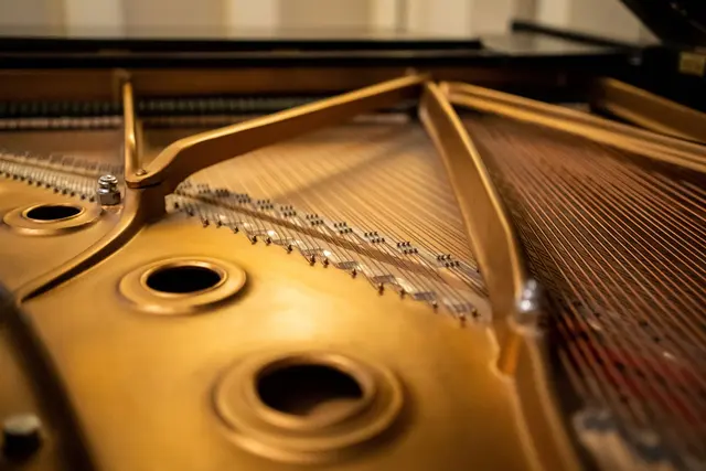 Mickelsen Music Services — photo from the business 11