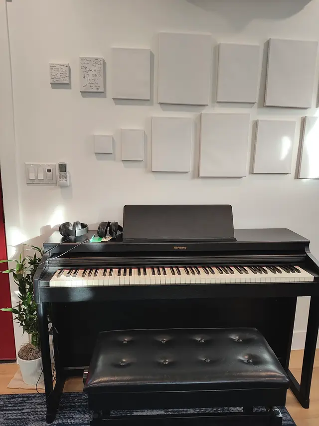 Harmony Piano Lessons — photo from the business 11