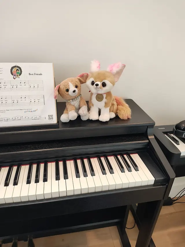 Harmony Piano Lessons — photo from the business 5