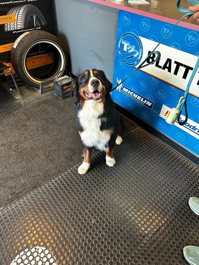 Blatt Tire & Auto Repair — customer photo 12