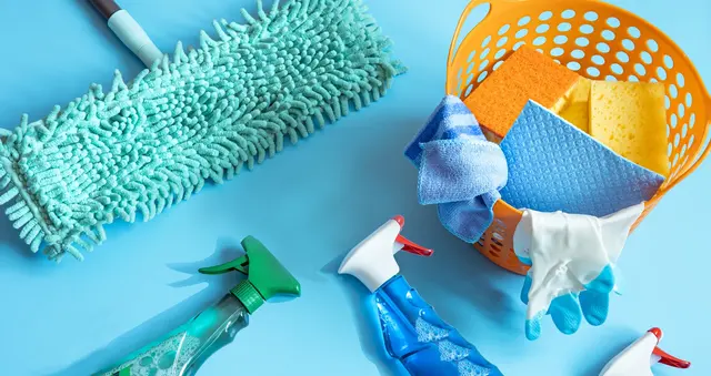 Vides Cleaning Service — photo from the business 3