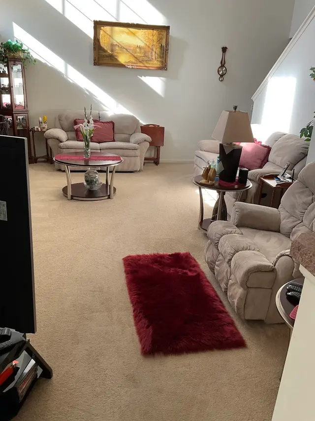 Vides Cleaning Service — customer photo 1