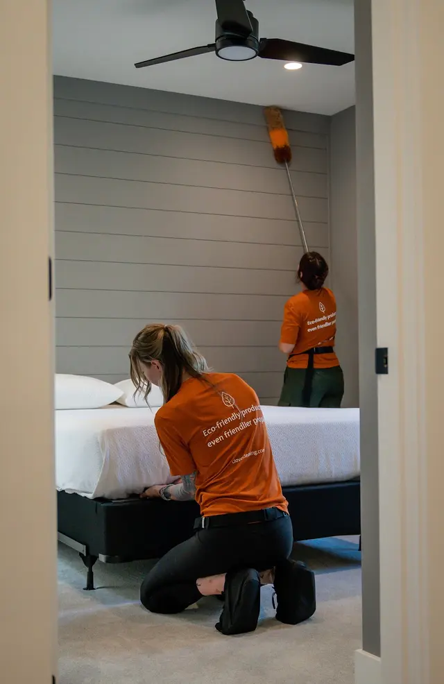 Clove Cleaning — photo from the business 12