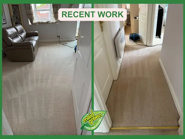 Maid Green Fox Valley — photo from the business 4