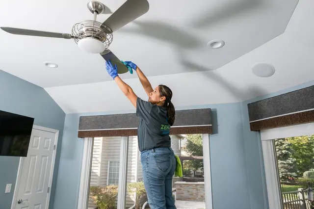 Zehcnas Cleaning Solutions — photo from the business 2
