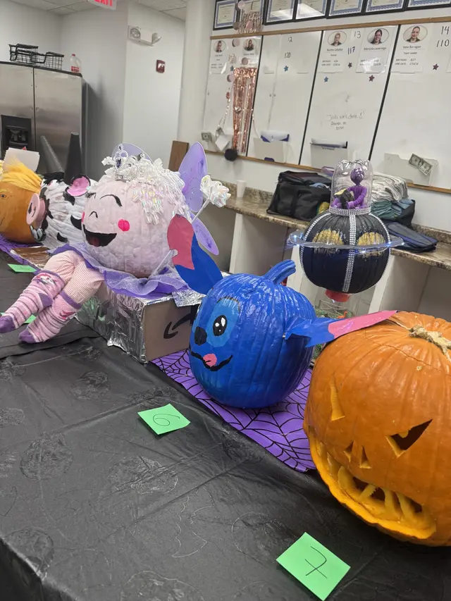 MOLLY MAID of Aurora-Naperville Area — photo from the business 8