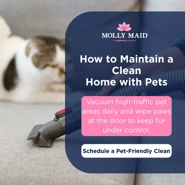 MOLLY MAID of Aurora-Naperville Area — photo from the business 5