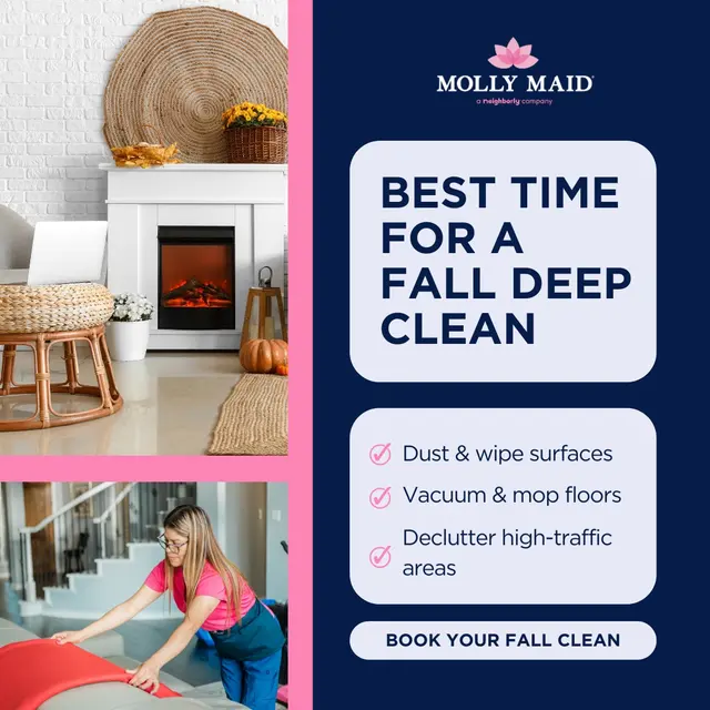 MOLLY MAID of Aurora-Naperville Area — photo from the business 3