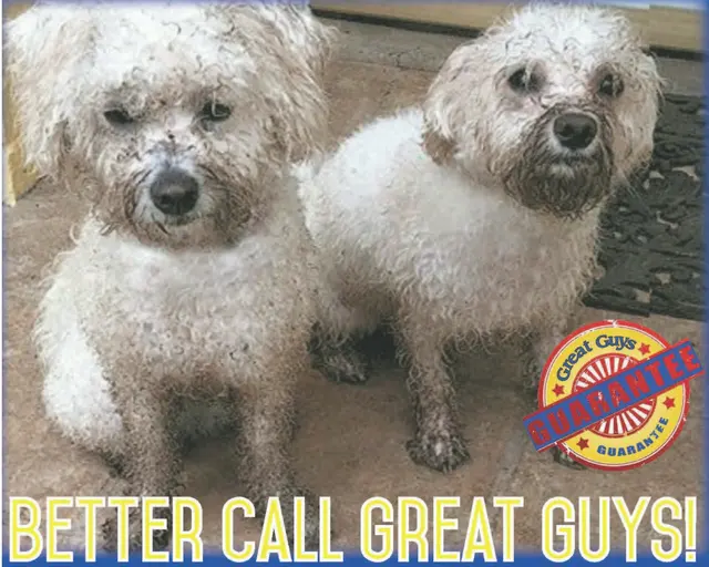 Great Guys Cleaning and Concierge — photo from the business 1