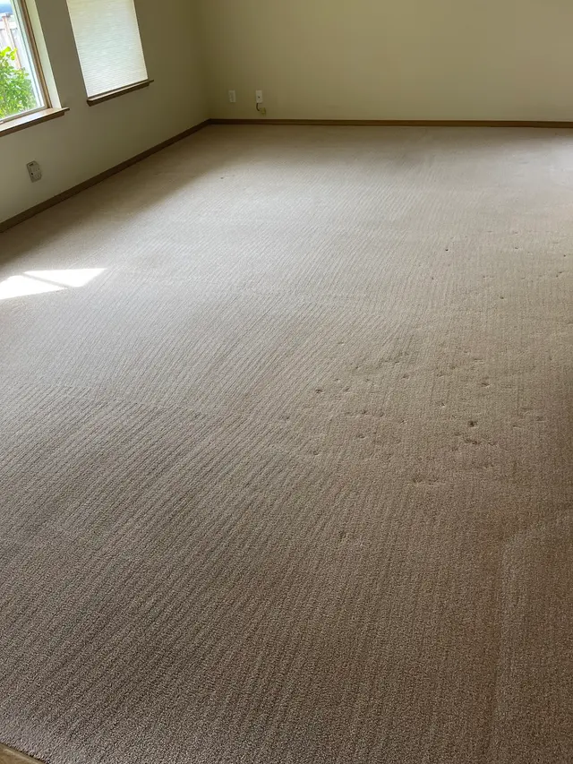 Quality Cleaning, INC. — customer photo 6
