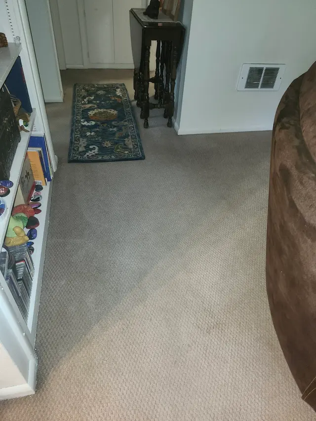 Rob's Carpet Cleaning — customer photo 1
