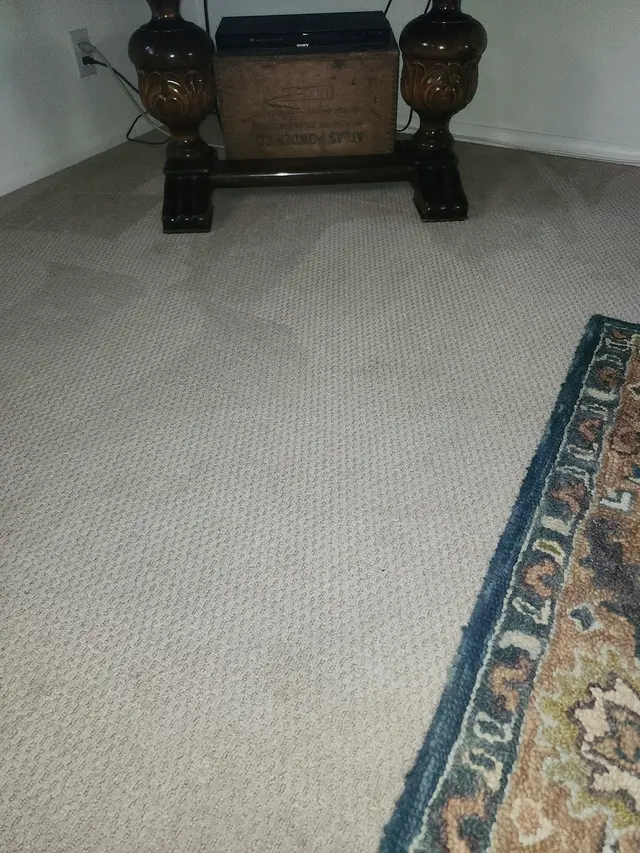 Rob's Carpet Cleaning — customer photo 9