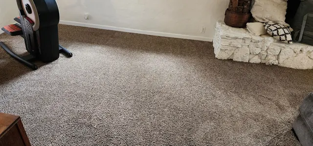 Rob's Carpet Cleaning — customer photo 11