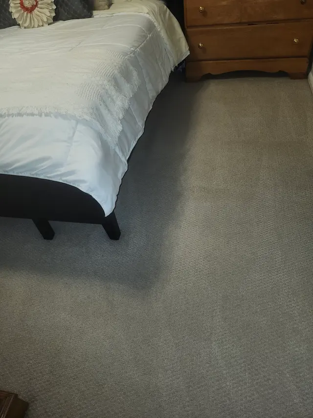 Rob's Carpet Cleaning — customer photo 6