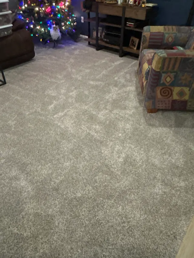 Rob's Carpet Cleaning — customer photo 10