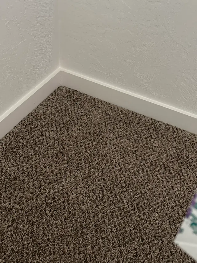 Rob's Carpet Cleaning — customer photo 8