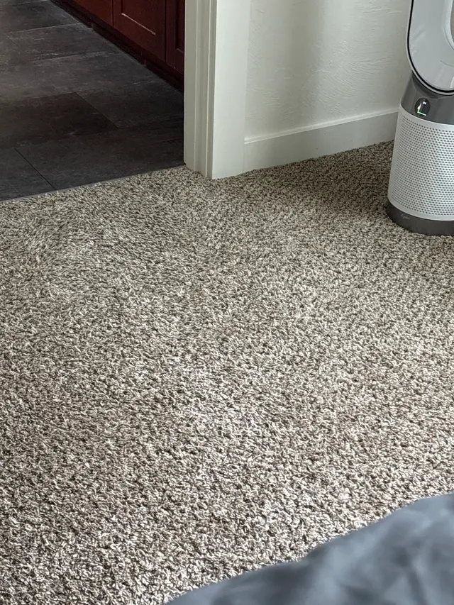Rob's Carpet Cleaning — customer photo 12