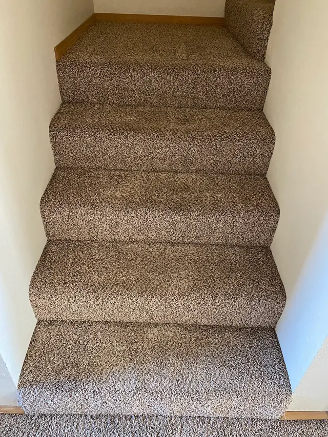 Stanley Steemer — customer photo 3