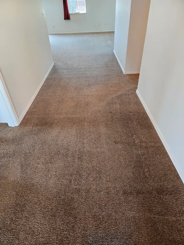 Stanley Steemer — customer photo 2
