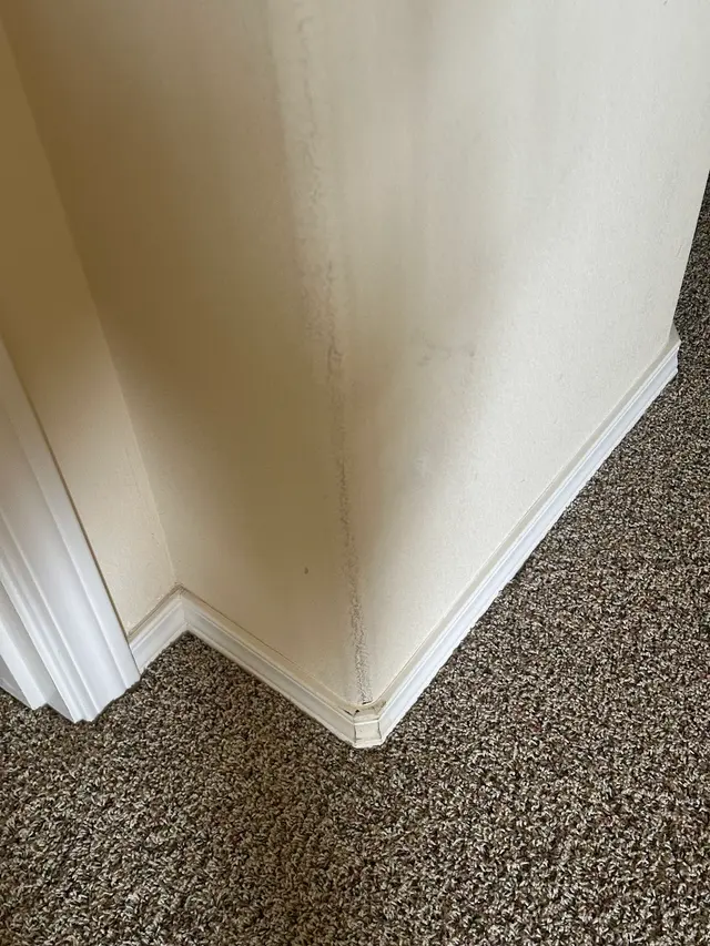 Stanley Steemer — customer photo 8
