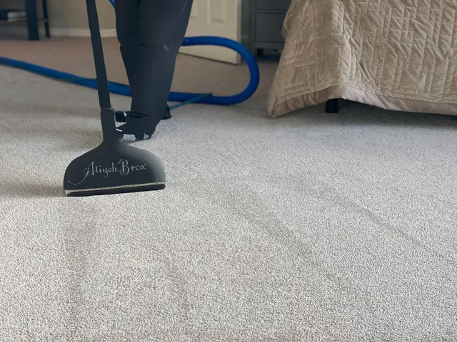 Atiyeh Bros. Eugene Rug & Carpet Cleaning — photo from the business 8