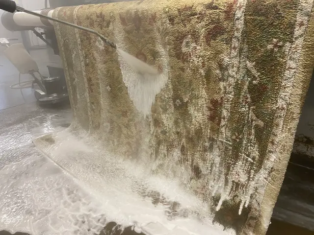 Atiyeh Bros. Eugene Rug & Carpet Cleaning — photo from the business 3