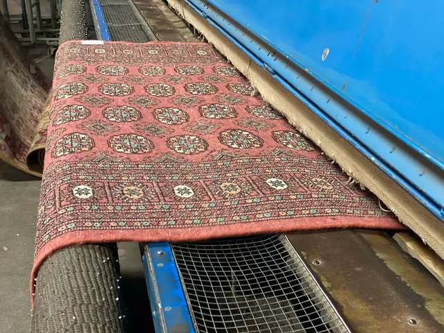 Atiyeh Bros. Eugene Rug & Carpet Cleaning — photo from the business 10