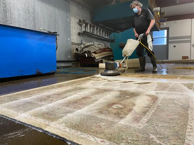 Atiyeh Bros. Eugene Rug & Carpet Cleaning — photo from the business 7