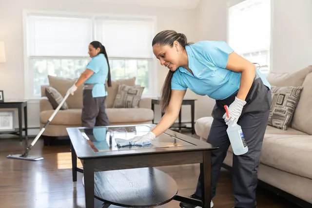 Merry Maids Eugene, Oregon — photo from the business 2