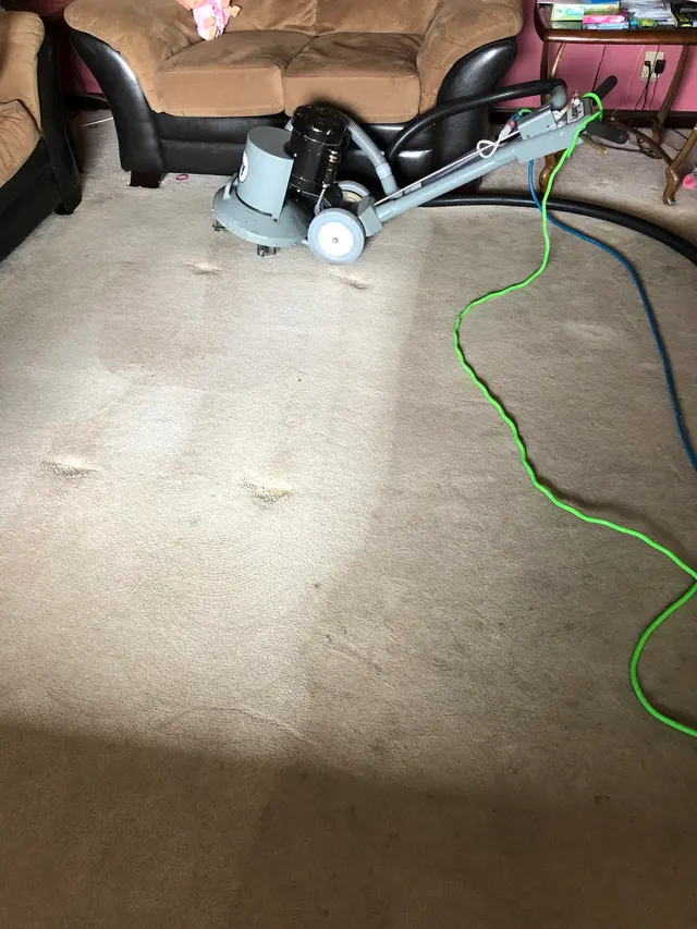 Emerald Valley Carpet Cleaning — photo from the business 4