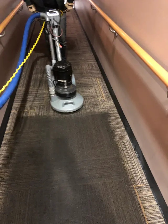 Emerald Valley Carpet Cleaning — photo from the business 3