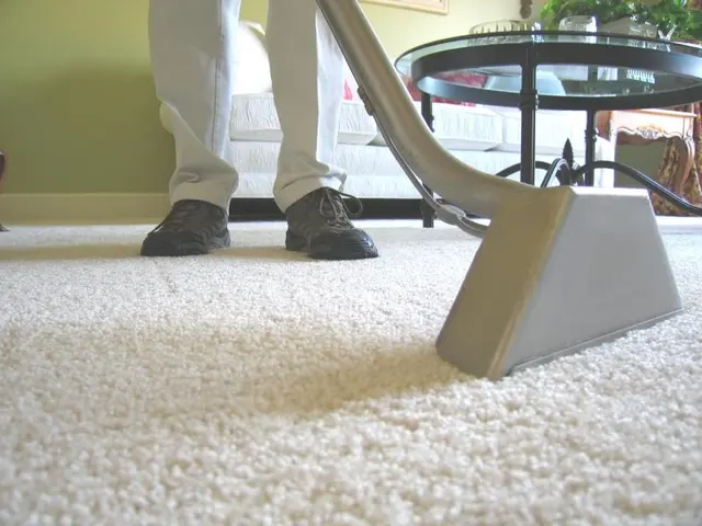 Elite Carpet Care — photo from the business 1