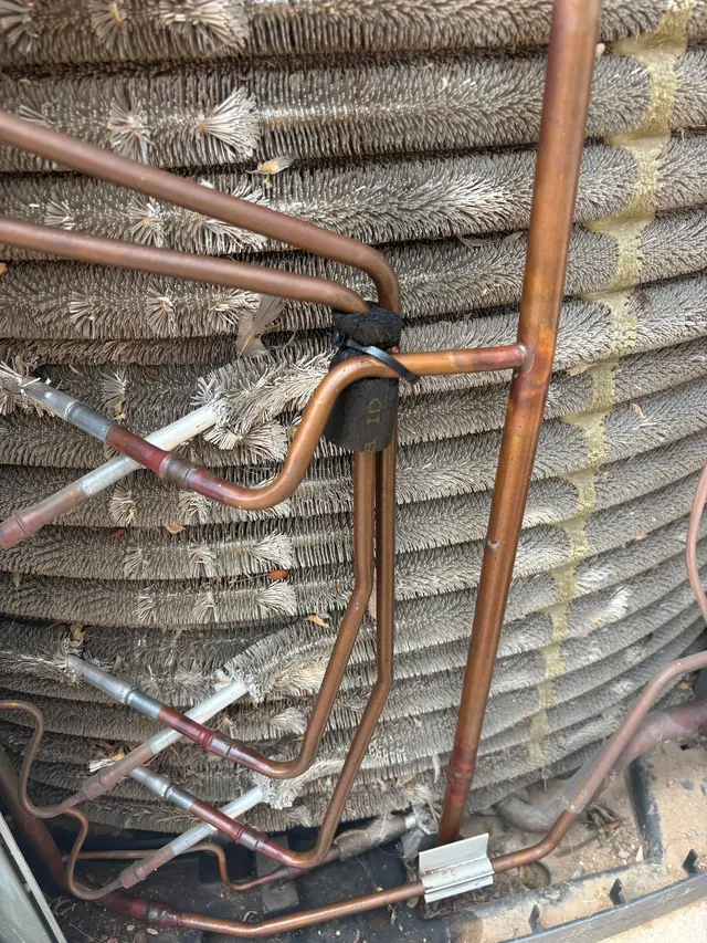 Local Roots AC and Plumbing LLC — customer photo 12