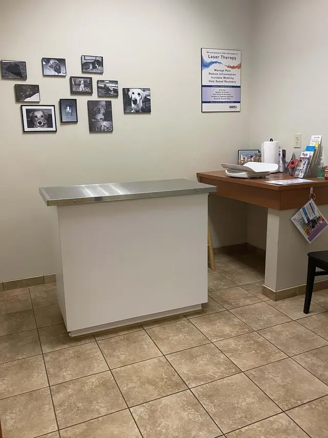 Mission Road Animal Clinic — photo from the business 4