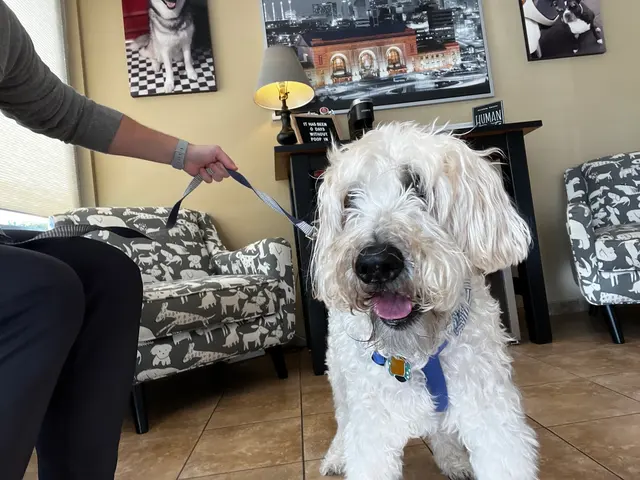Mission Road Animal Clinic — customer photo 9