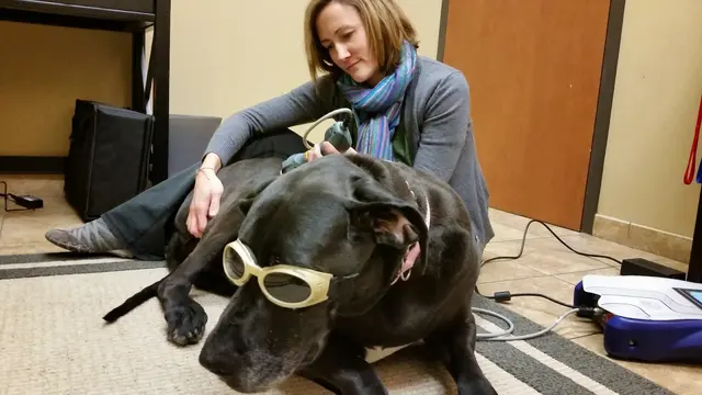 Mission Road Animal Clinic — photo from the business 12