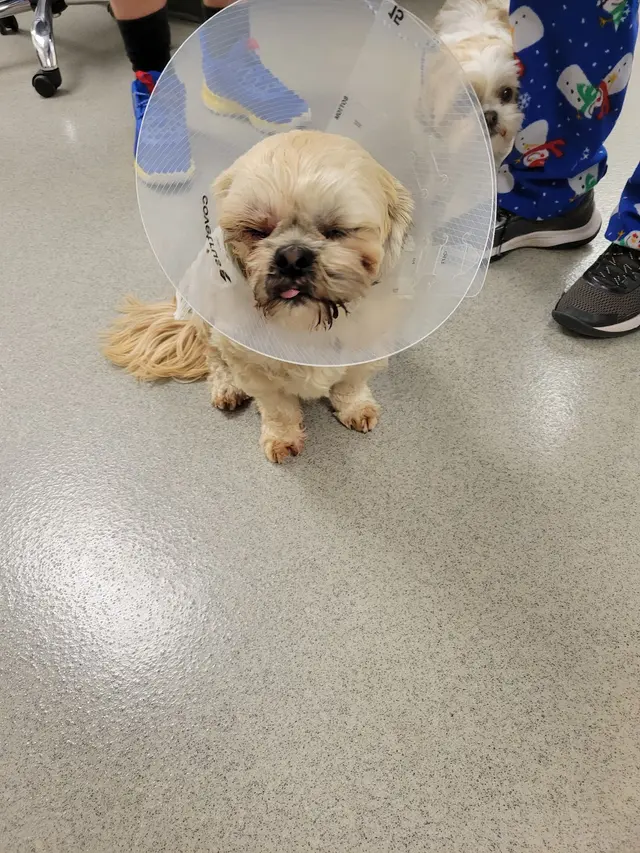 Marketplace Animal Hospital — customer photo 8