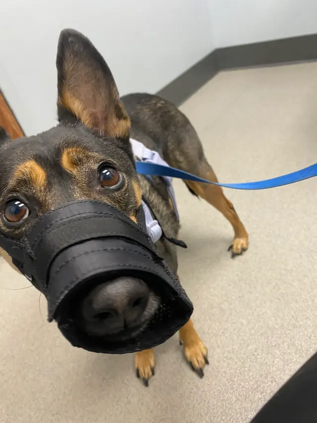 Marketplace Animal Hospital — customer photo 1
