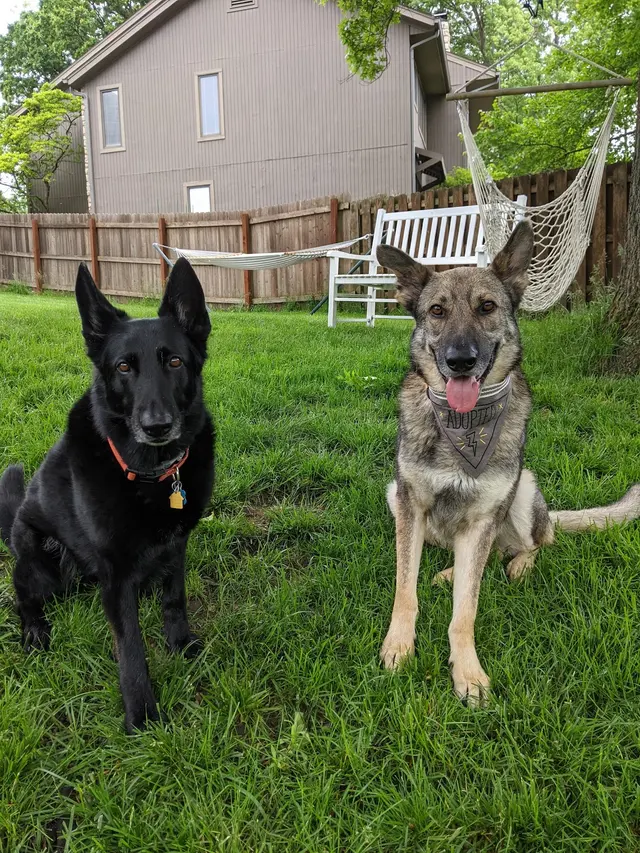 Marketplace Animal Hospital — customer photo 3