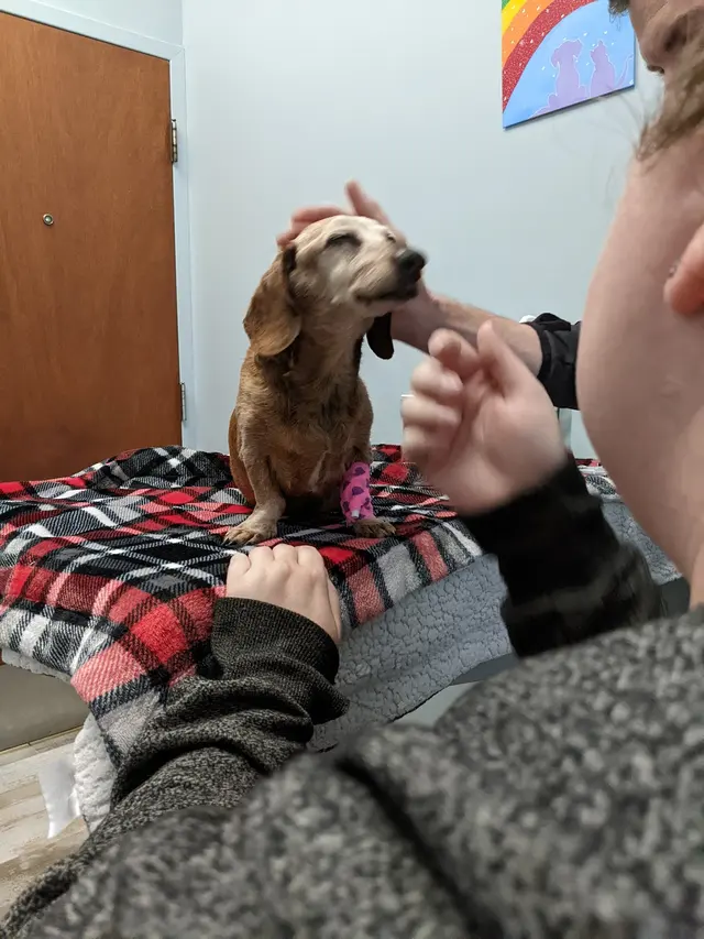 Marketplace Animal Hospital — customer photo 2