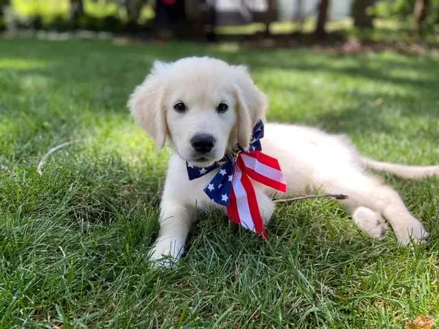 Animal Health Center of Leawood — photo from the business 1