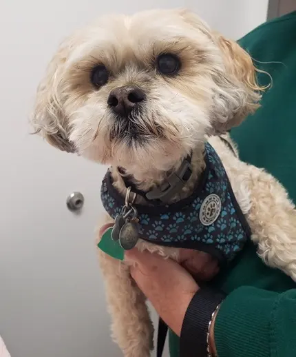 Animal Health Center of Leawood — photo from the business 8